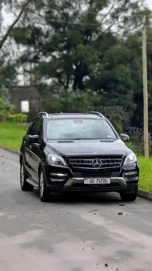 Mercedes-Benz M Class 2014 Black
