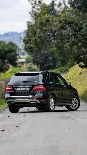 Mercedes-Benz M Class 2014 Black