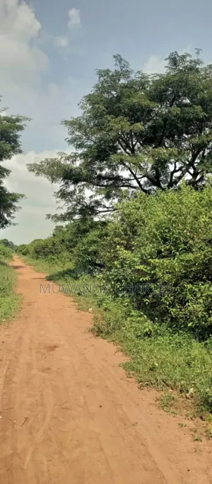 Land on Sale in Zirobwe Ndalike