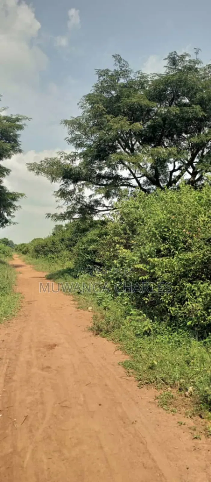 Land on Sale in Zirobwe Ndalike