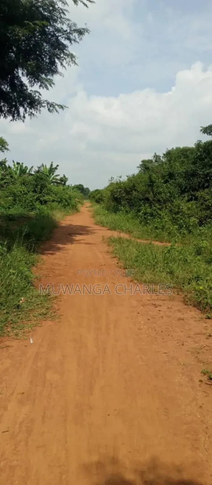 Land on Sale in Zirobwe Ndalike