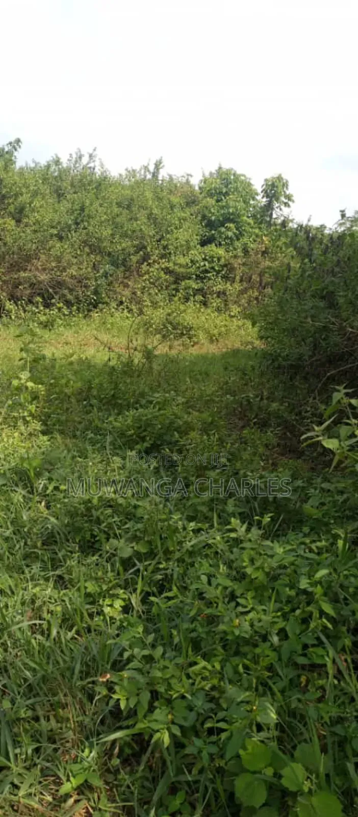 Land on Sale in Zirobwe Ndalike