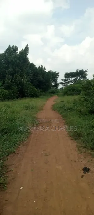 Land on Sale in Zirobwe Ndalike