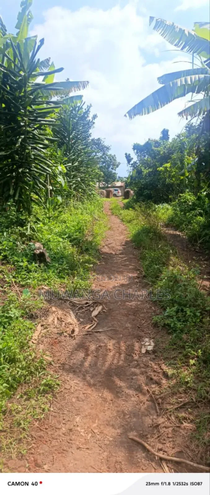 Plots on Sale in Busika Kalagala