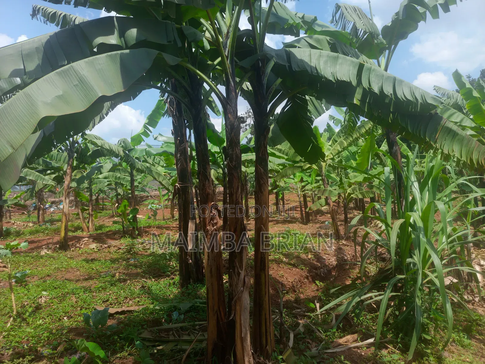 35 Decimals in Tula Kawempe Near Vegas Chilout