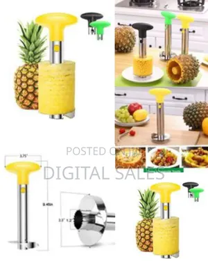 Pineapple Cutter