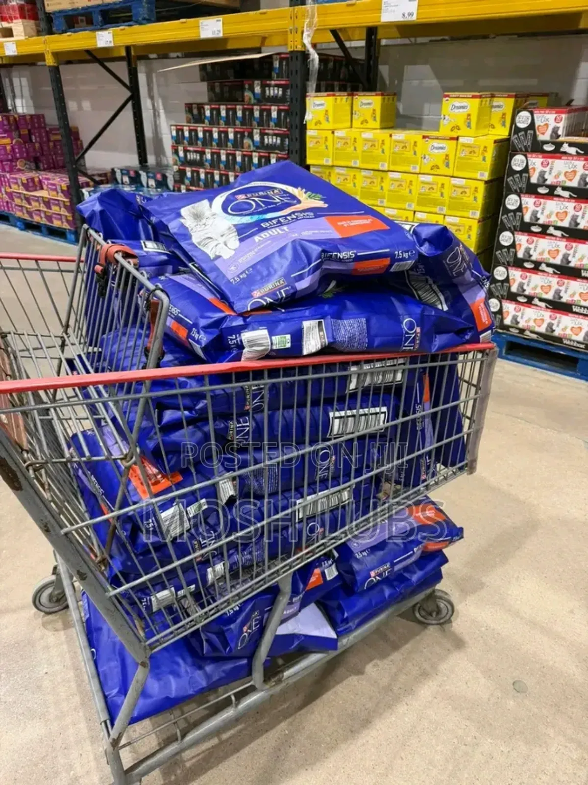 Dry Wet Foods for Cat