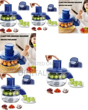 Efficient Electric Fruit and Vegetable