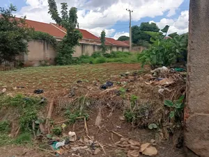 Land for Rent (100×50 Ft)