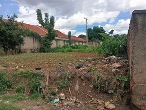 Land for Rent (100×50 Ft)