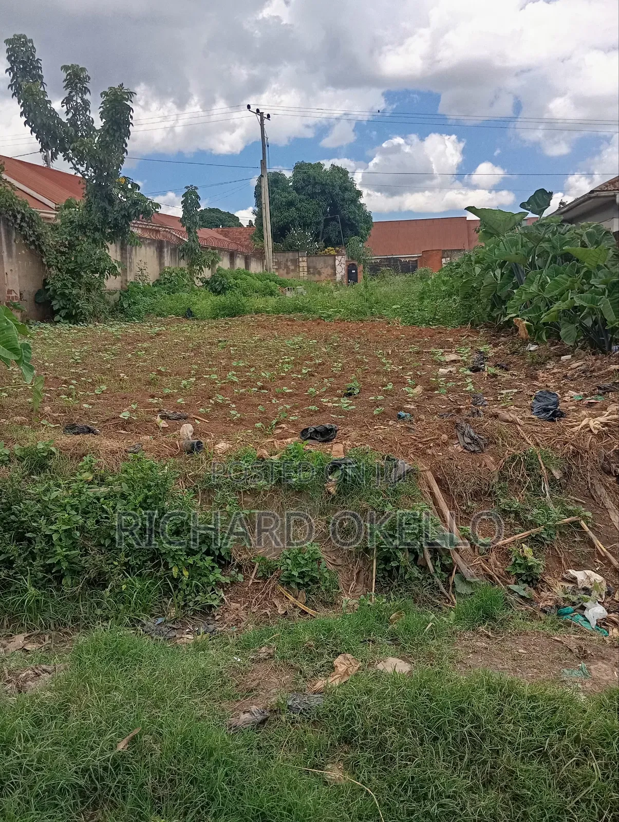Land for Rent (100×50 Ft)