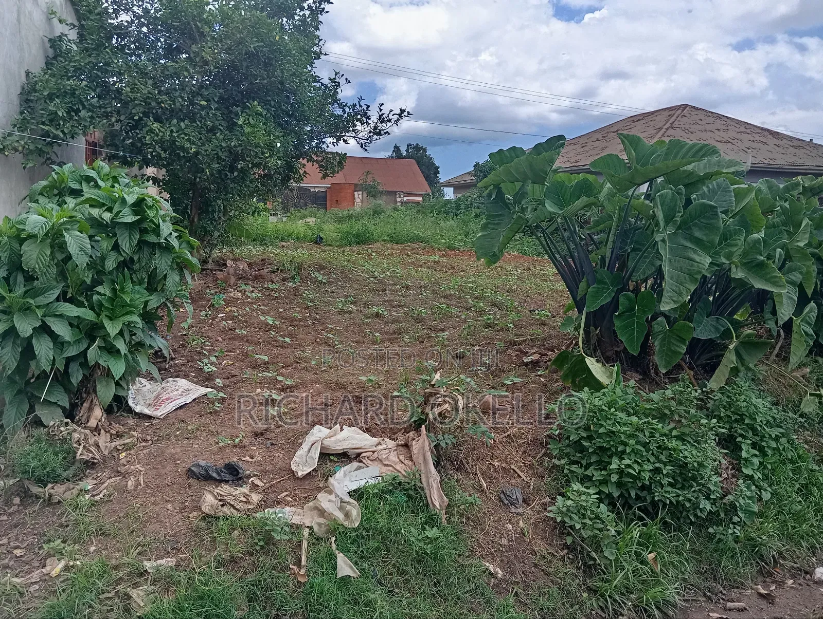 Land for Rent (100×50 Ft)