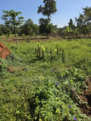 Land 30by55feet Roadside Bukasa