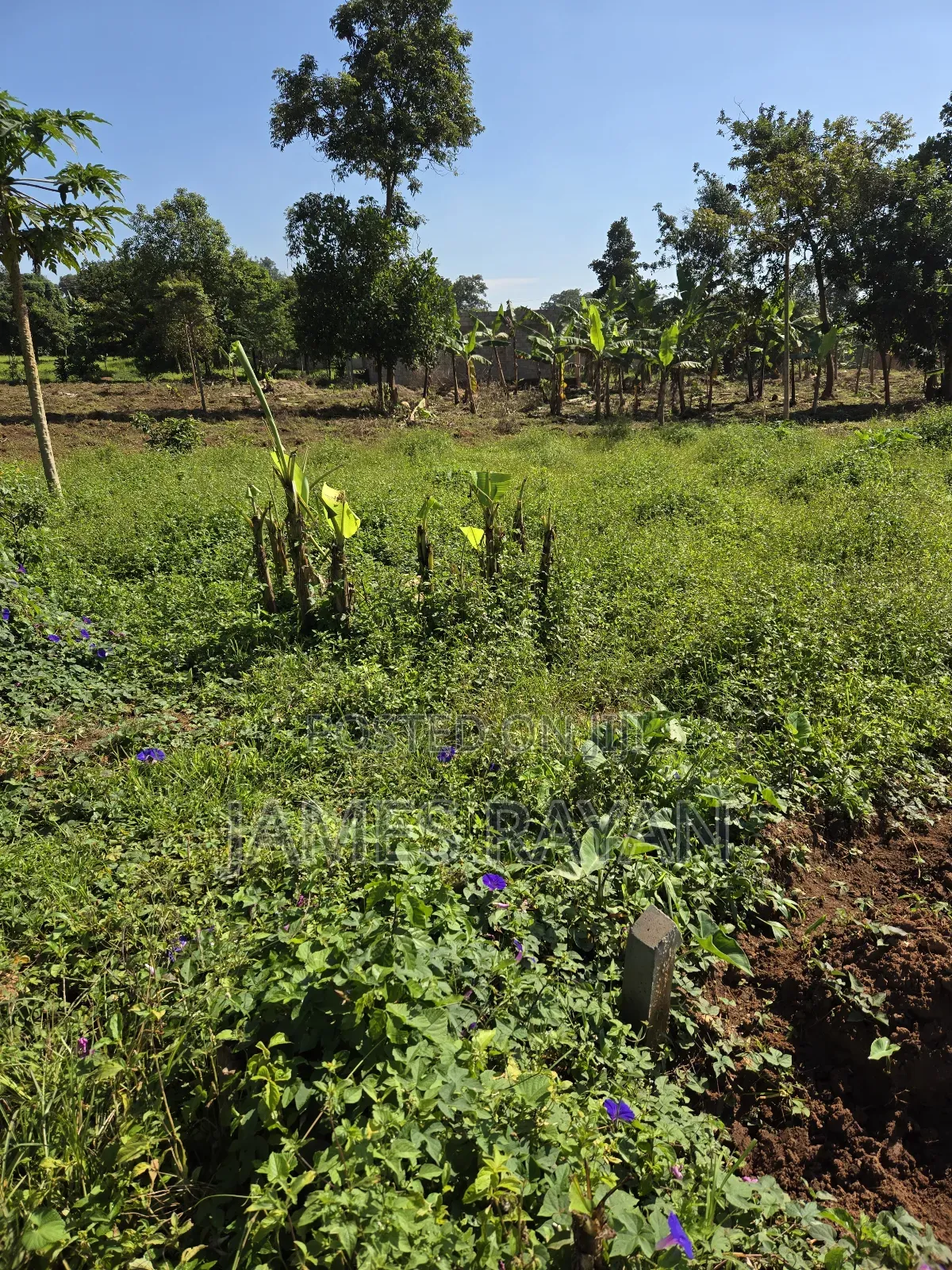 Land 30by55feet Roadside Bukasa