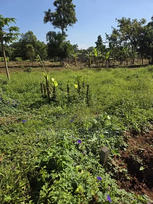 Land 30by55feet Roadside Bukasa