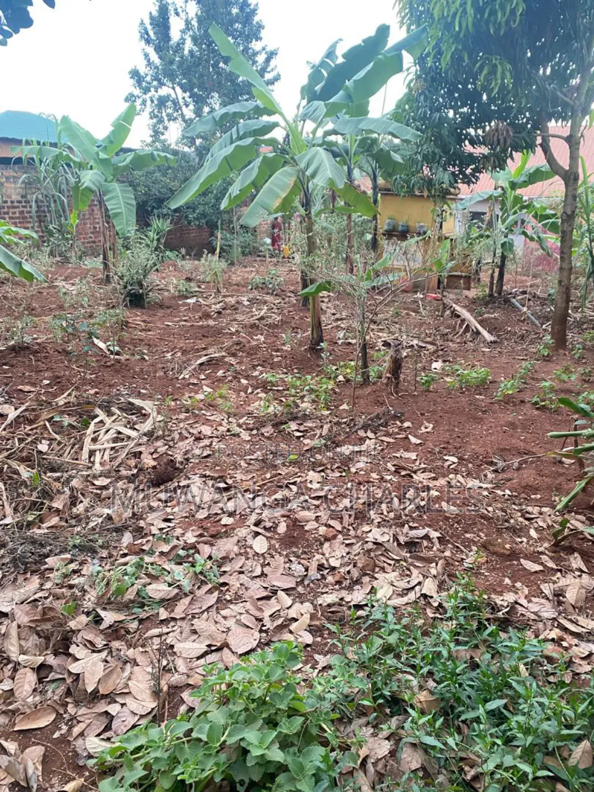 100by50ft Plot on Sale in Kitetika