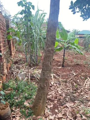 100by50ft Plot on Sale in Kitetika