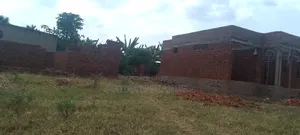 50 by 100 Plot of Land