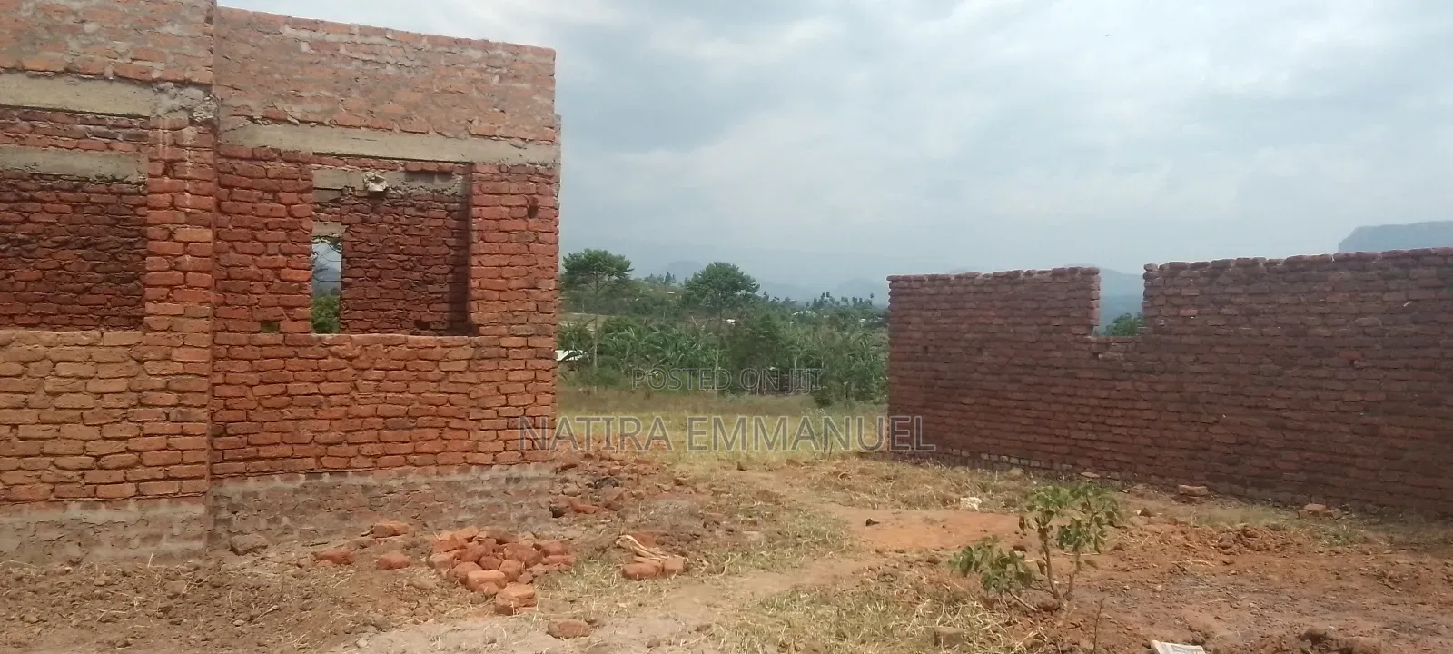 50 by 100 Plot of Land