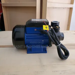 Surface Water Pump