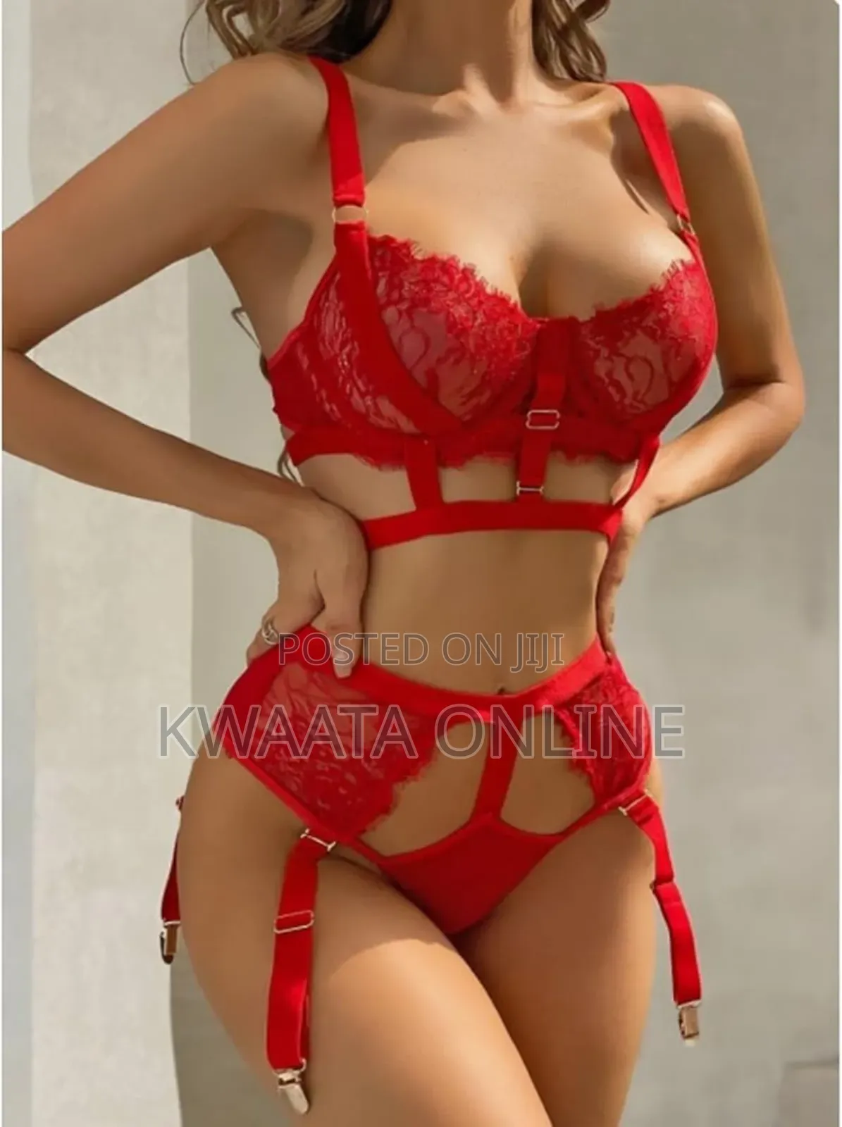 Women Lingerie Set With Garter Belts Lace Sexy Underwired Push Up Bra