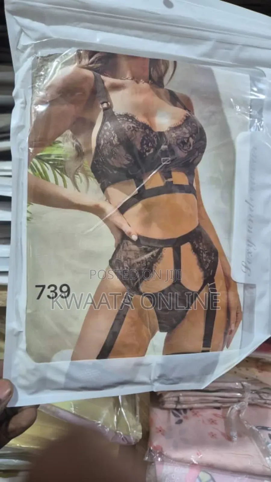 Women Lingerie Set With Garter Belts Lace Sexy Underwired Push Up Bra