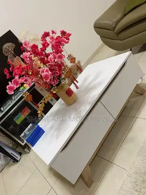 Nordic/ Designer Coffee/ Tables Luxury/ Storage Living Center Table /