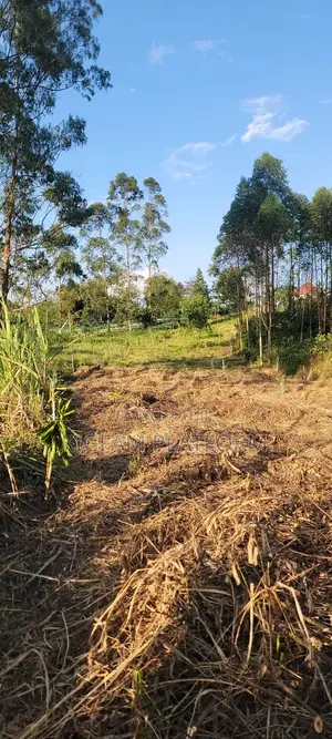 Land for Sale Wakiso.Land From 1.5m Ettaka ,Plot , Kyapa