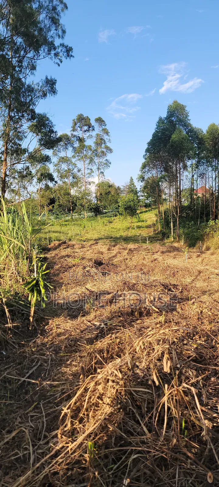 Land for Sale Wakiso.Land From 1.5m Ettaka ,Plot , Kyapa