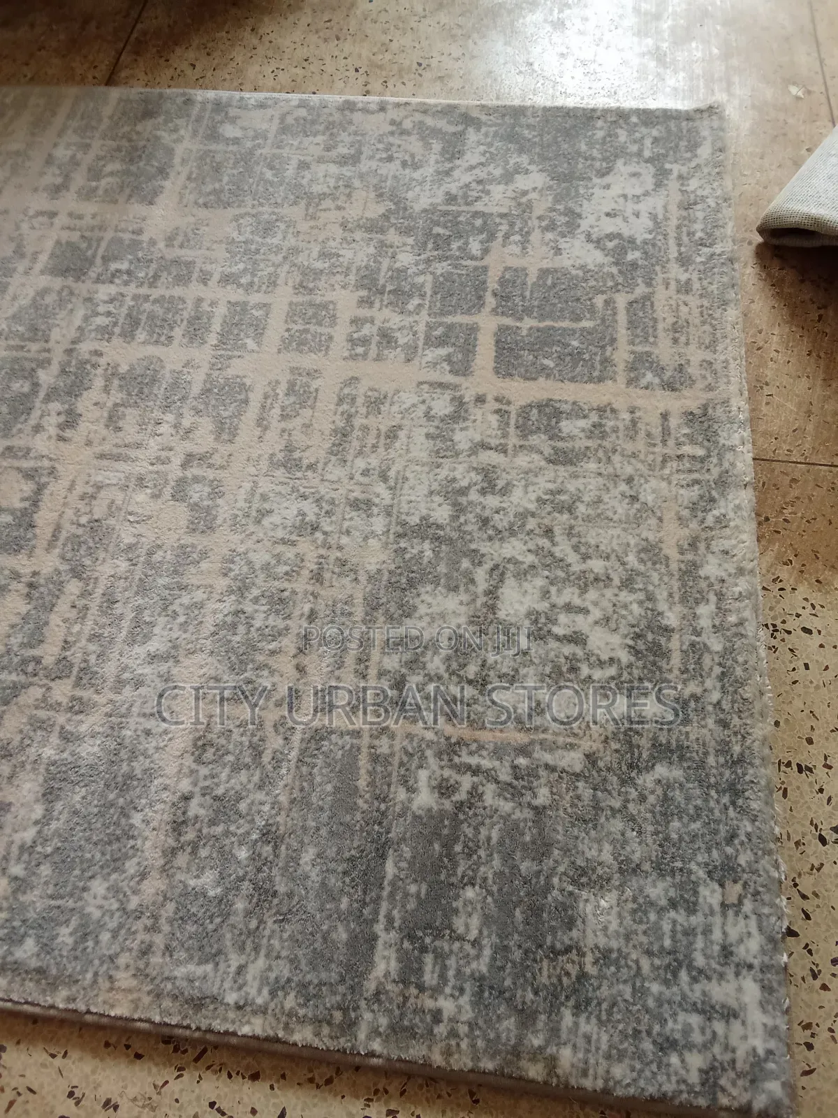 Large Size Gray Color Center Carpet