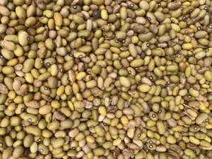 Yellow Beans