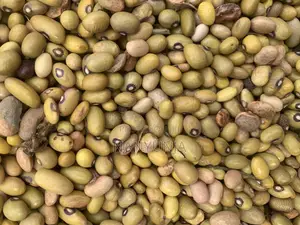 Yellow Beans