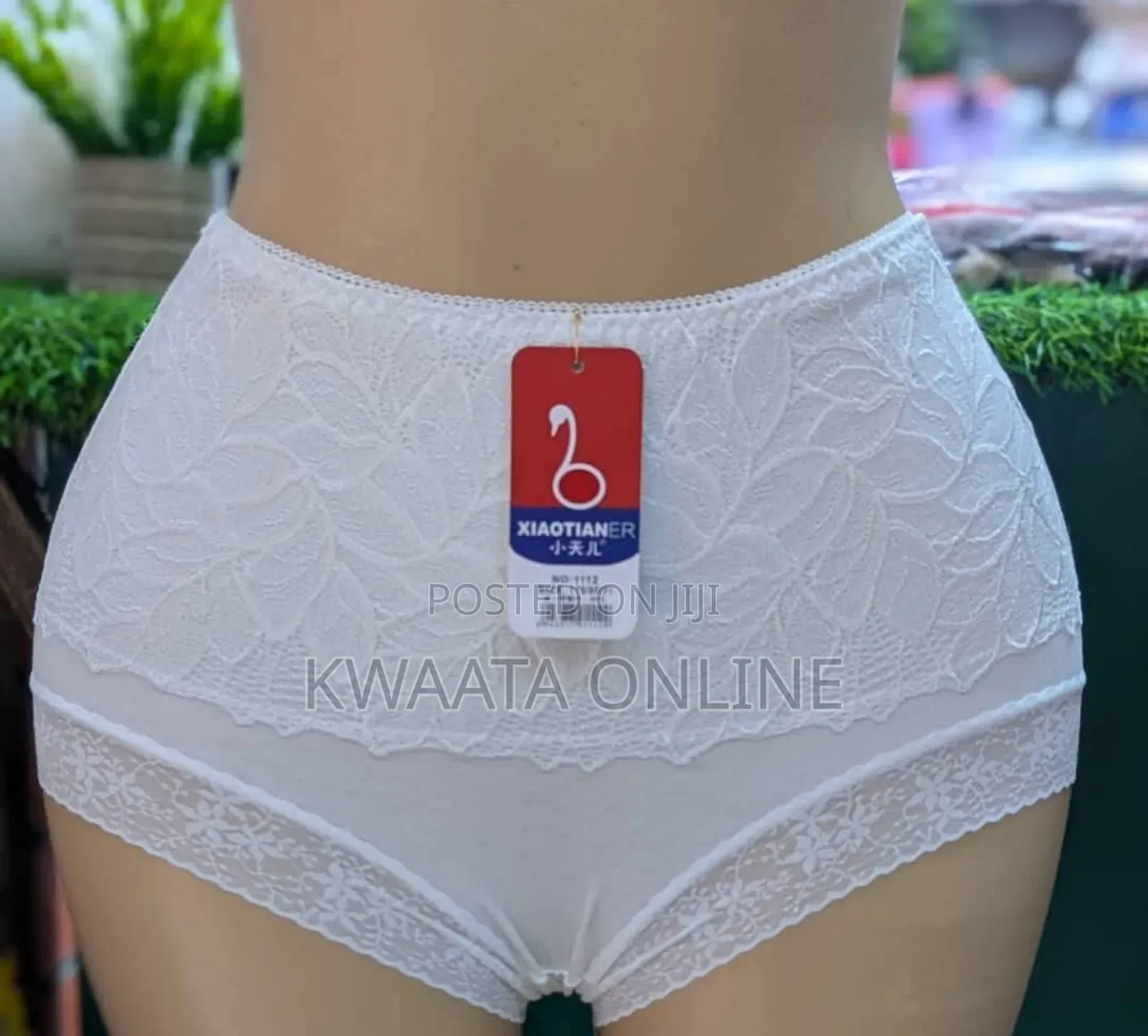 High Waist Cotton Floral Net Sexy Design Women Knickers-6 Pieces