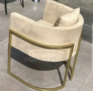 Saloon Chairs/Saloon Chairs/Salon Seats/Salon Modern Seats