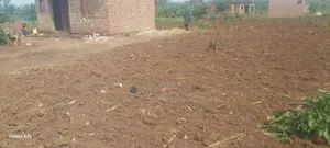 Land and Plot