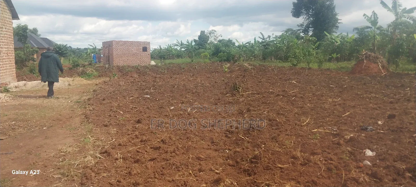 Land and Plot