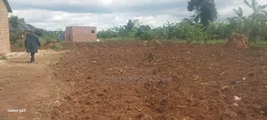Land and Plot