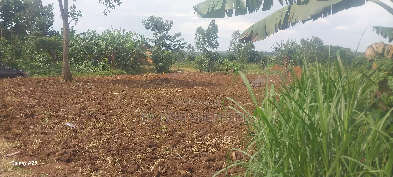 Land and Plot