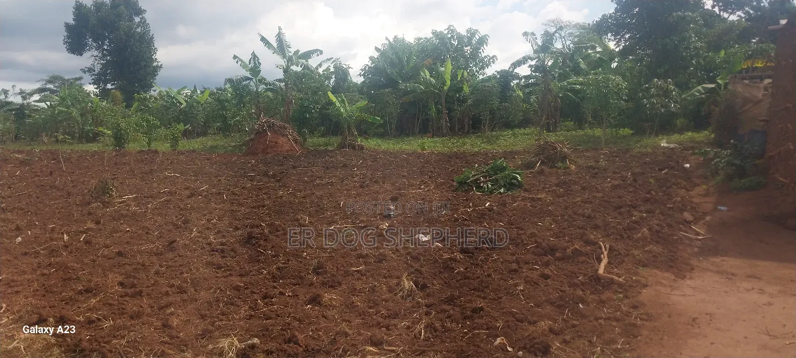 Land and Plot