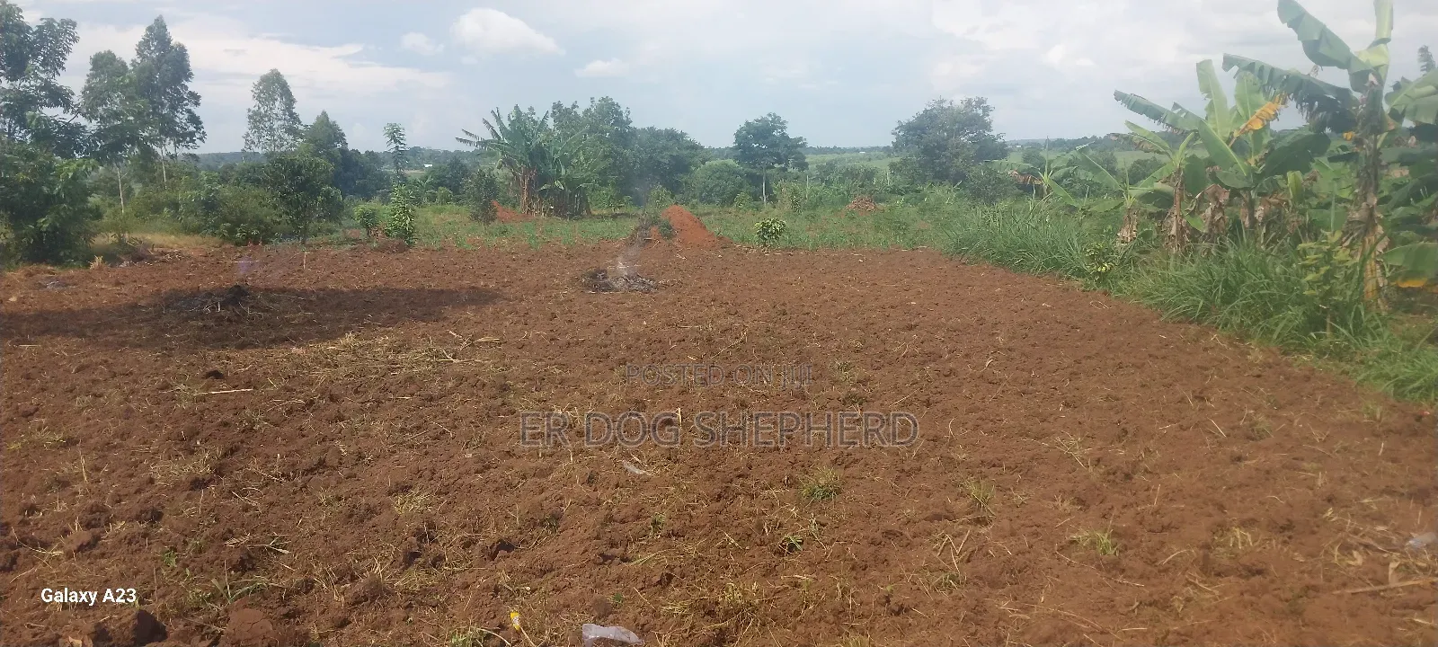 Land and Plot