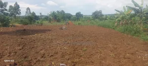 Land and Plot