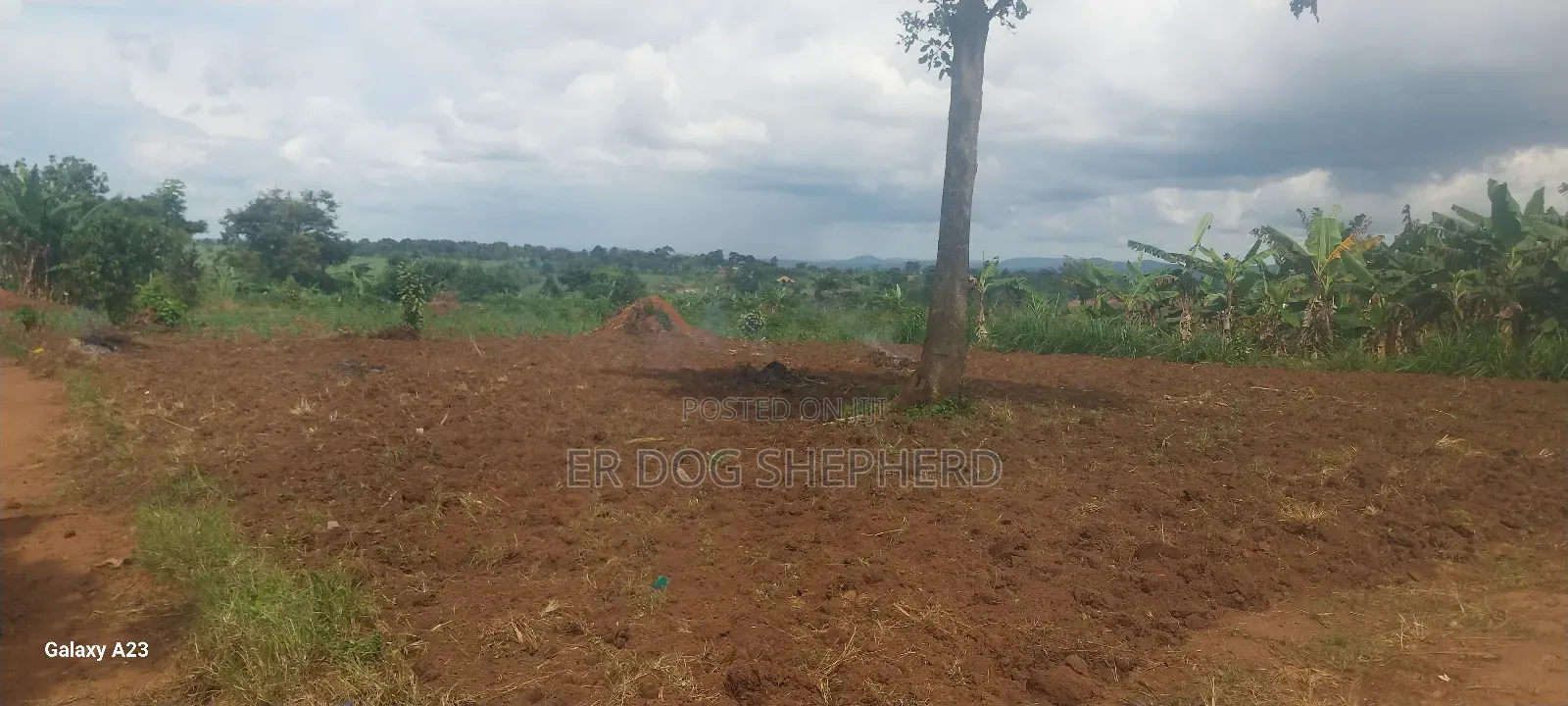 Land and Plot
