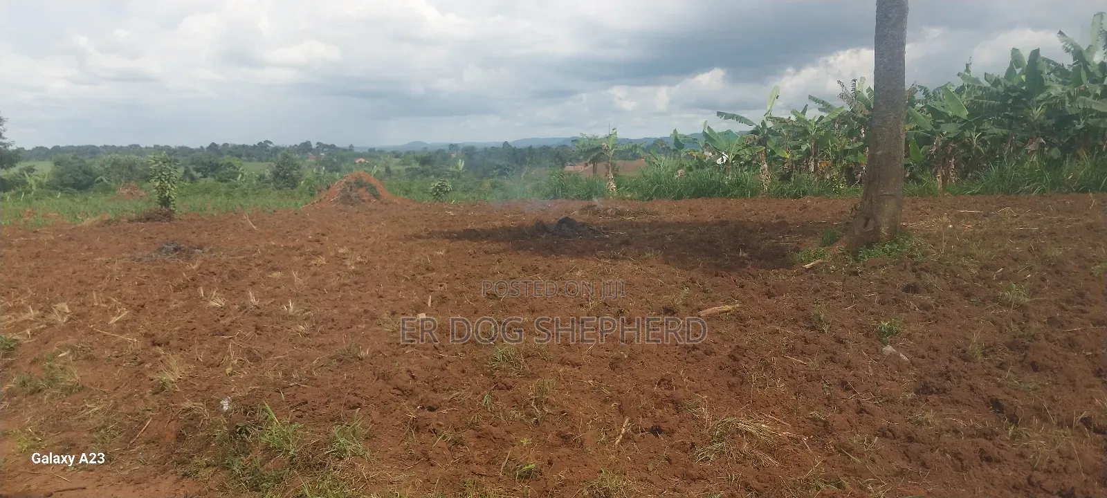 Land and Plot