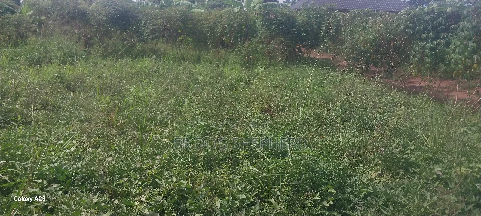 Land and Plot