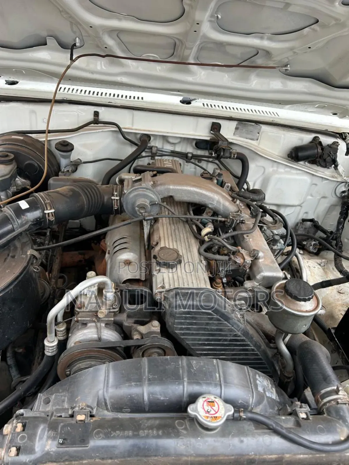 Toyota Land Cruiser 2006 White