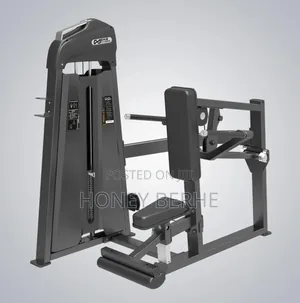 Seated Dip Machine