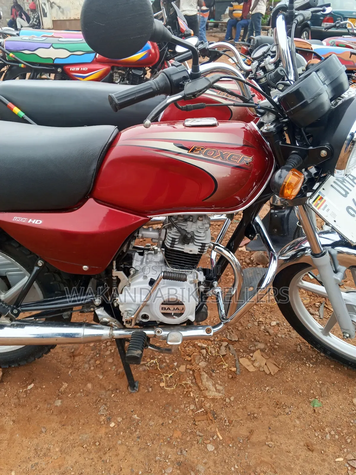 Bajaj Boxer 100 2025 Red
