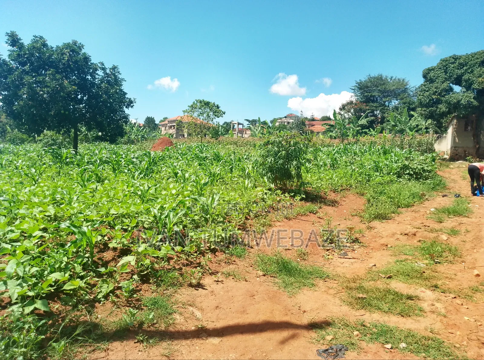 Plot For Sale In Mutungo Kigo
