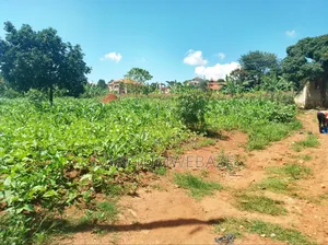 Plot For Sale In Mutungo Kigo