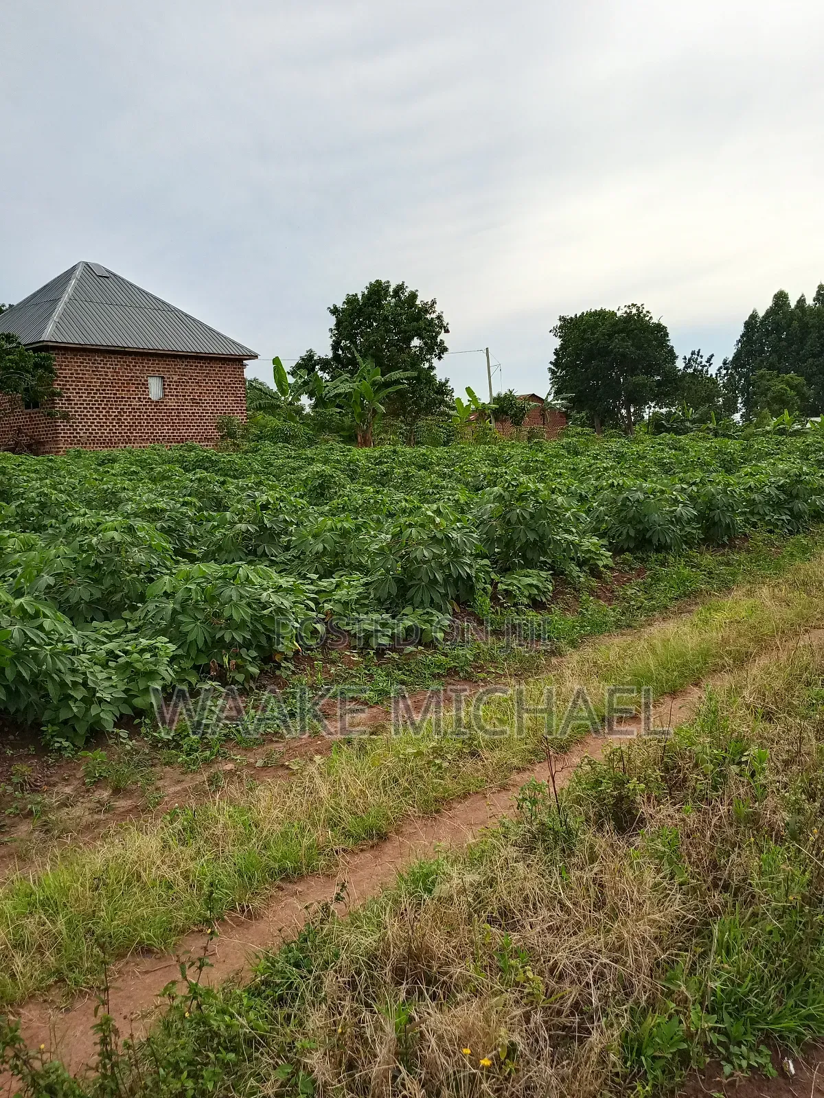 Plot for Sale